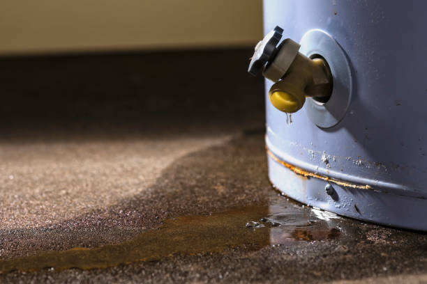 Best Flooded house restoration  in Greenbelt, MD