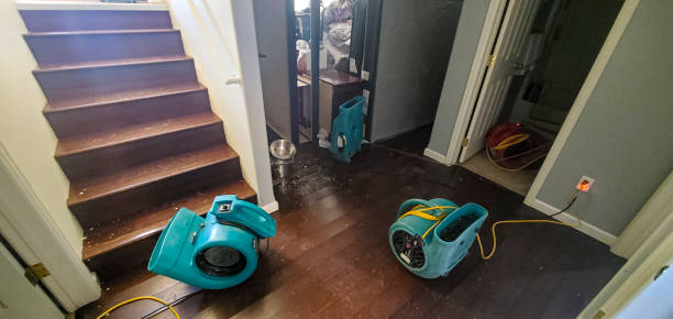 Best 24/7 water damage repair  in Greenbelt, MD