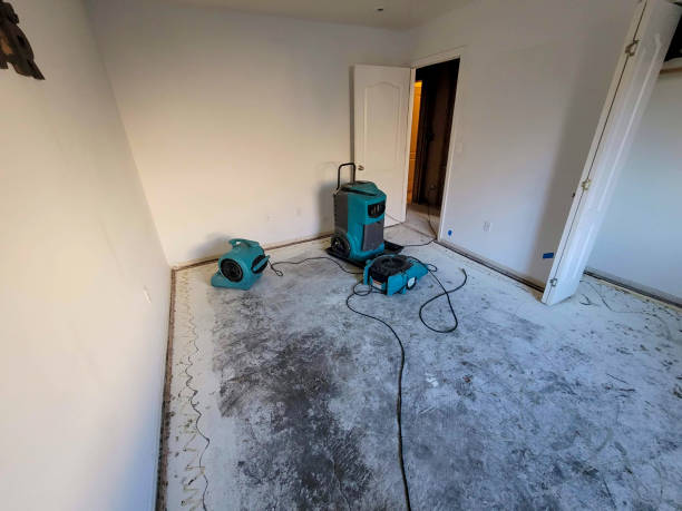 Best Water damage restoration insurance claims  in Greenbelt, MD