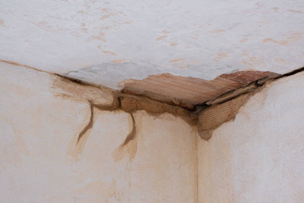 Best Local water damage restoration  in Greenbelt, MD