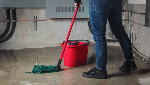 Best Flood damage cleanup  in Greenbelt, MD