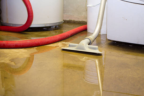Best Emergency water damage restoration  in Greenbelt, MD