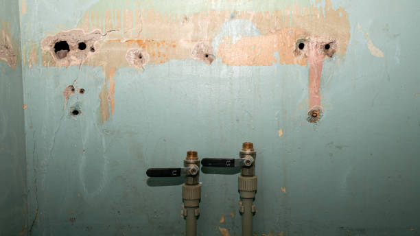 Best Commercial water damage restoration  in Greenbelt, MD