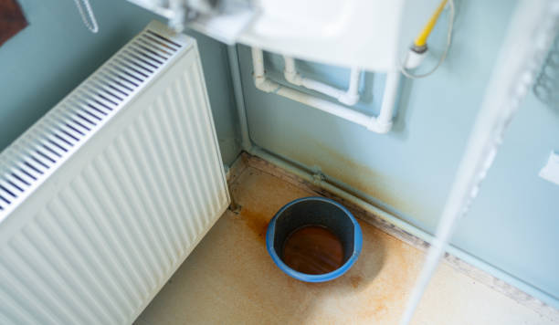 Best Water damage restoration near me  in Greenbelt, MD